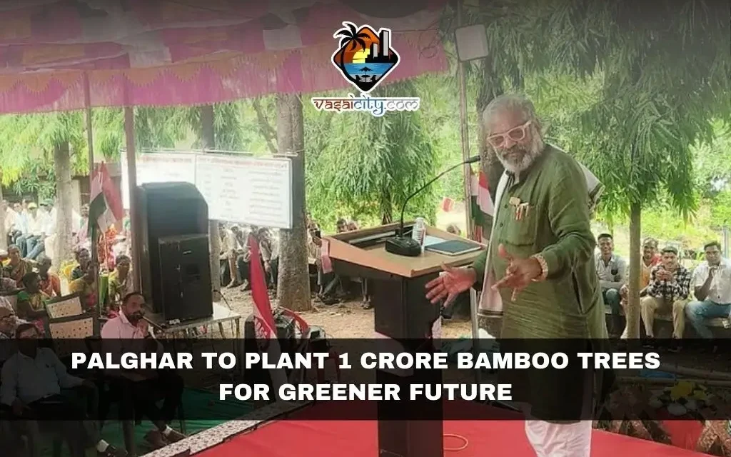 Palghar to Plant 1 Crore Bamboo Trees for Greener Future