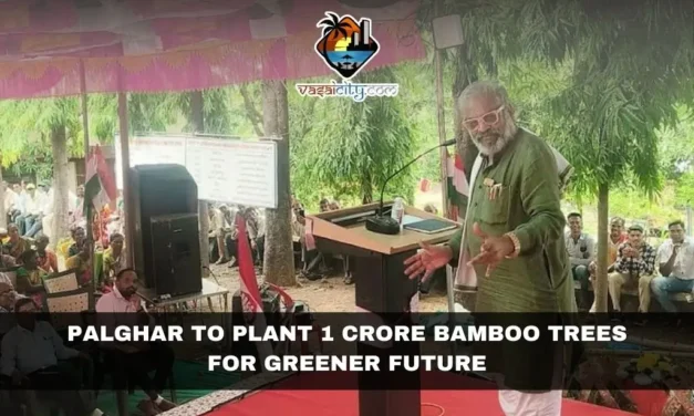 Palghar to Plant 1 Crore Bamboo Trees for Greener Future