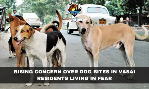Rising Concern Over Dog Bites in Vasai: Residents Living in Fear