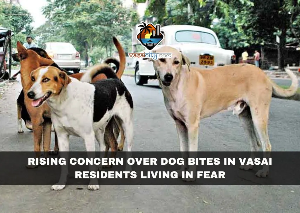 Rising Concern Over Dog Bites in Vasai: Residents Living in Fear
