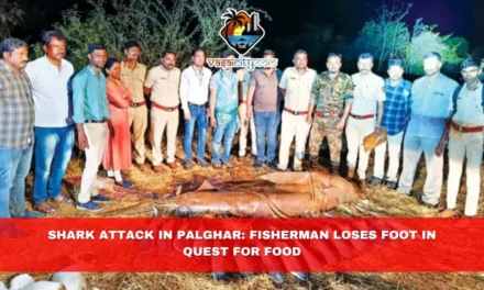 Shark Attack in Palghar: Fisherman Loses Foot in Quest for Food