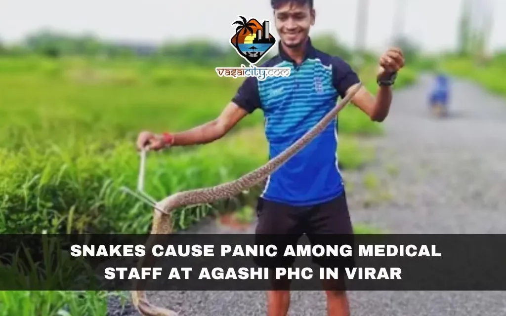 Snakes Cause Panic Among Medical Staff at Agashi PHC in Virar