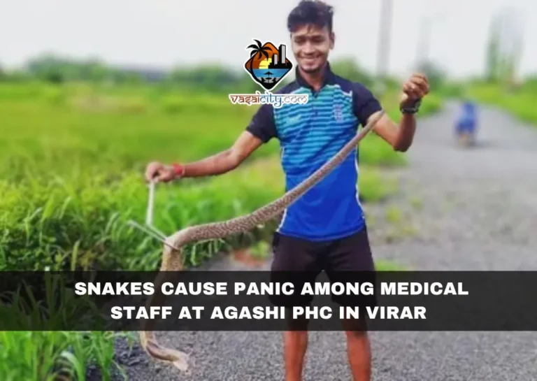 Snakes Cause Panic Among Medical Staff at Agashi PHC in Virar