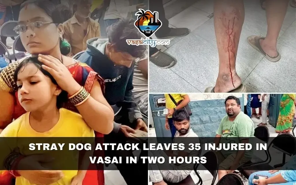 Stray Dog Attack Leaves 35 Injured in Vasai in Two Hours