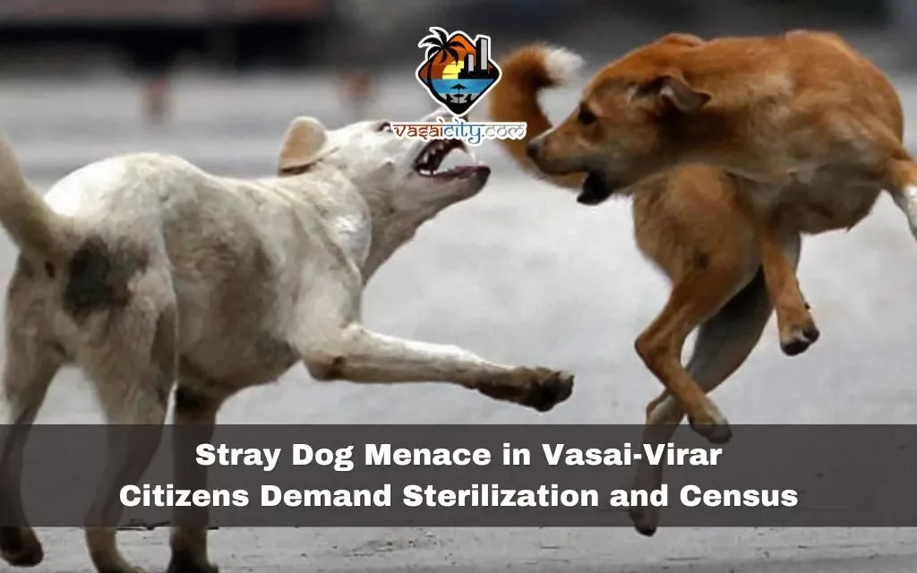 Stray Dog Menace in Vasai-Virar: Citizens Demand Sterilization and Census