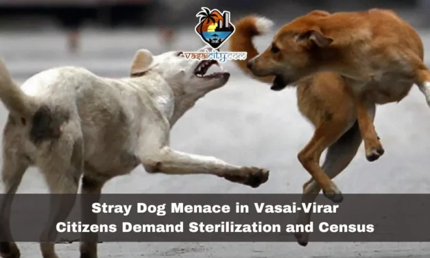 Stray Dog Menace in Vasai-Virar: Citizens Demand Sterilization and Census