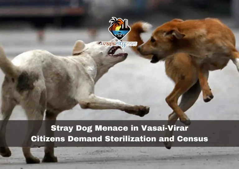 Stray Dog Menace in Vasai-Virar: Citizens Demand Sterilization and Census