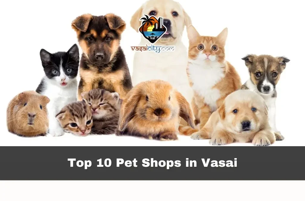 Top 10 Pet Shops in Vasai