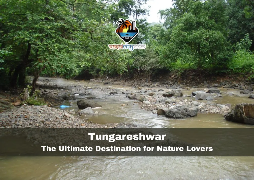 Tungareshwar: The Ultimate Destination for Nature Lovers