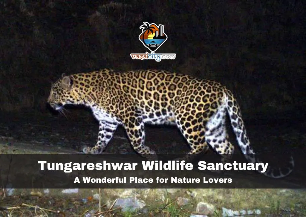 Tungareshwar Wildlife Sanctuary