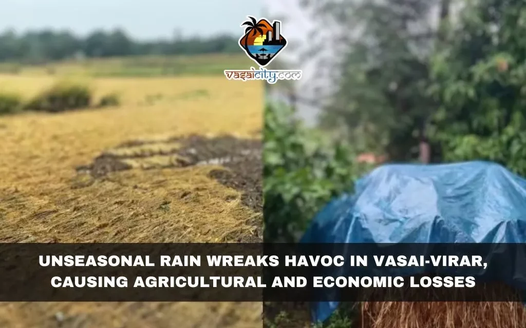 Unseasonal Rain Wreaks Havoc in Vasai-Virar, Causing Agricultural and Economic Losses