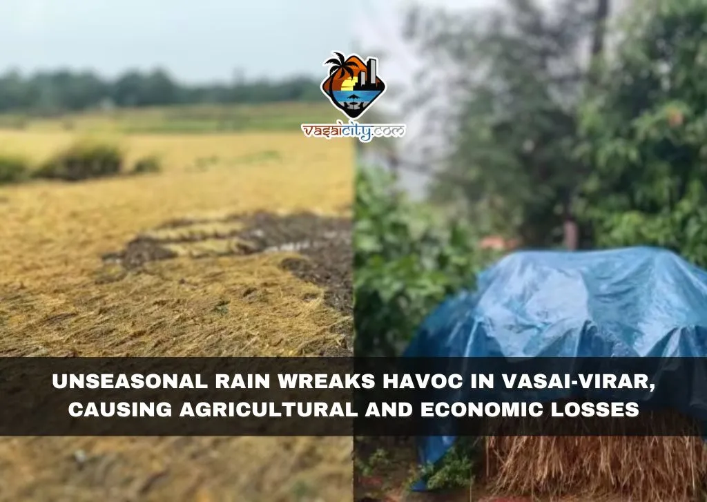 Unseasonal Rain Wreaks Havoc in Vasai-Virar, Causing Agricultural and Economic Losses