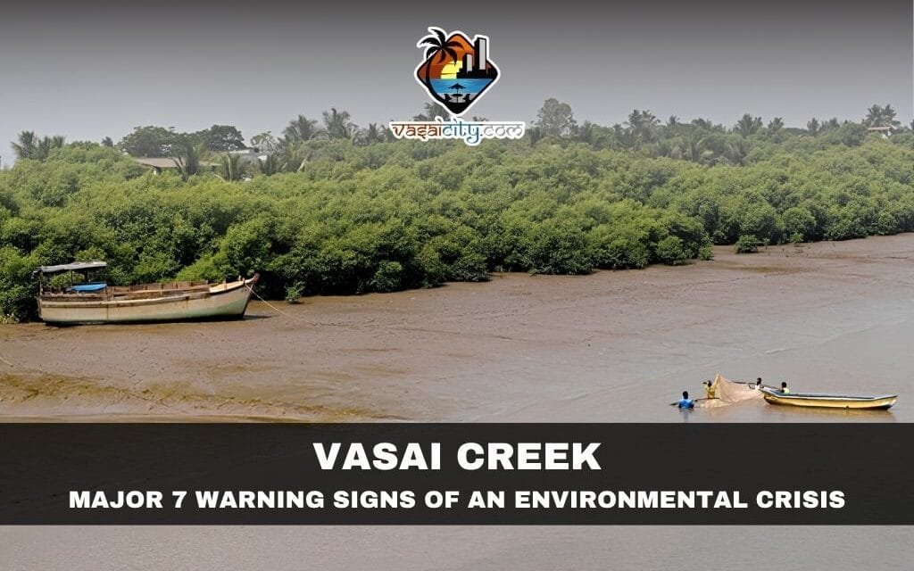 Vasai Creek: A Lifeline Slowly Slipping Away