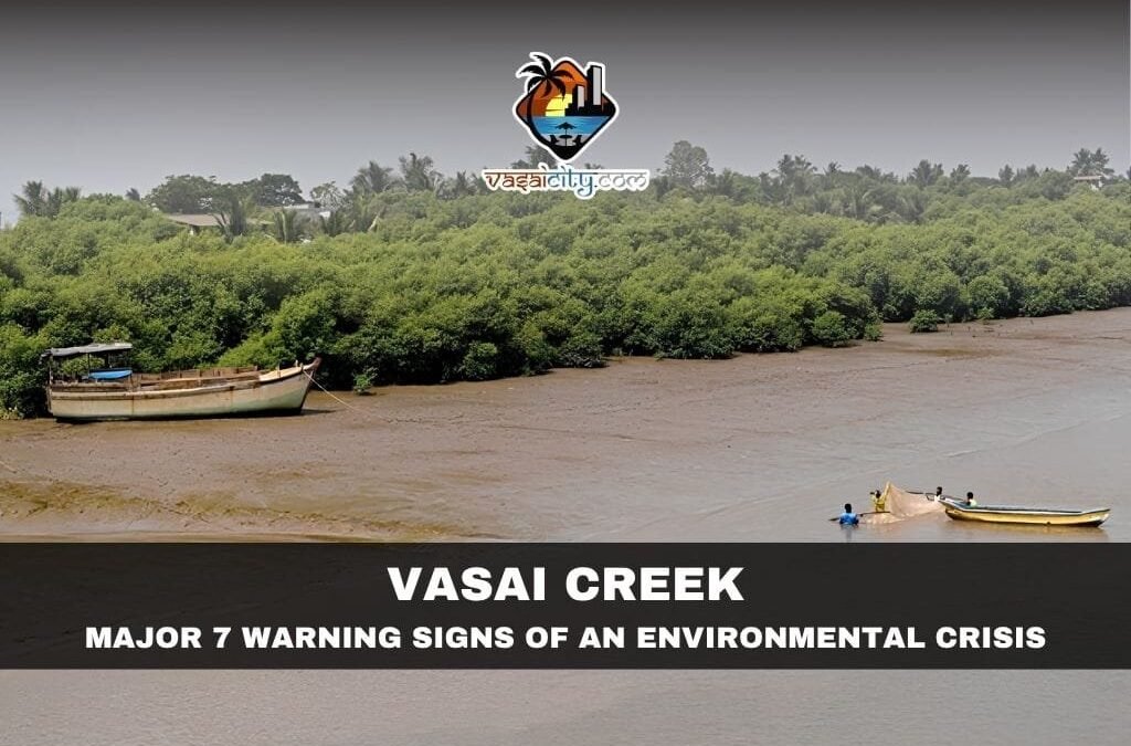 Vasai Creek: A Lifeline Slowly Slipping Away