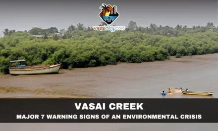 Vasai Creek: A Lifeline Slowly Slipping Away