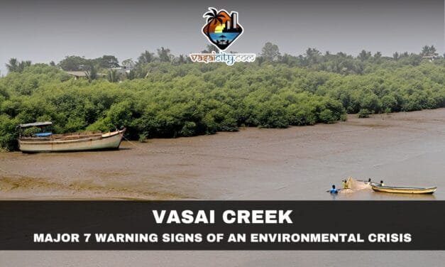 Vasai Creek: A Lifeline Slowly Slipping Away