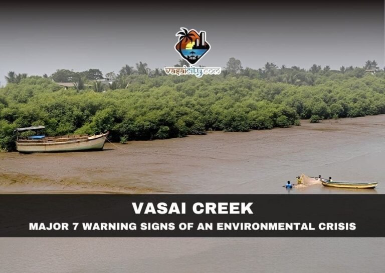 Vasai Creek with mangroves highlighting the environmental challenges facing Vasai Creek.