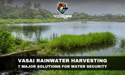 Vasai Rainwater Harvesting Can Transform the City’s Water Future