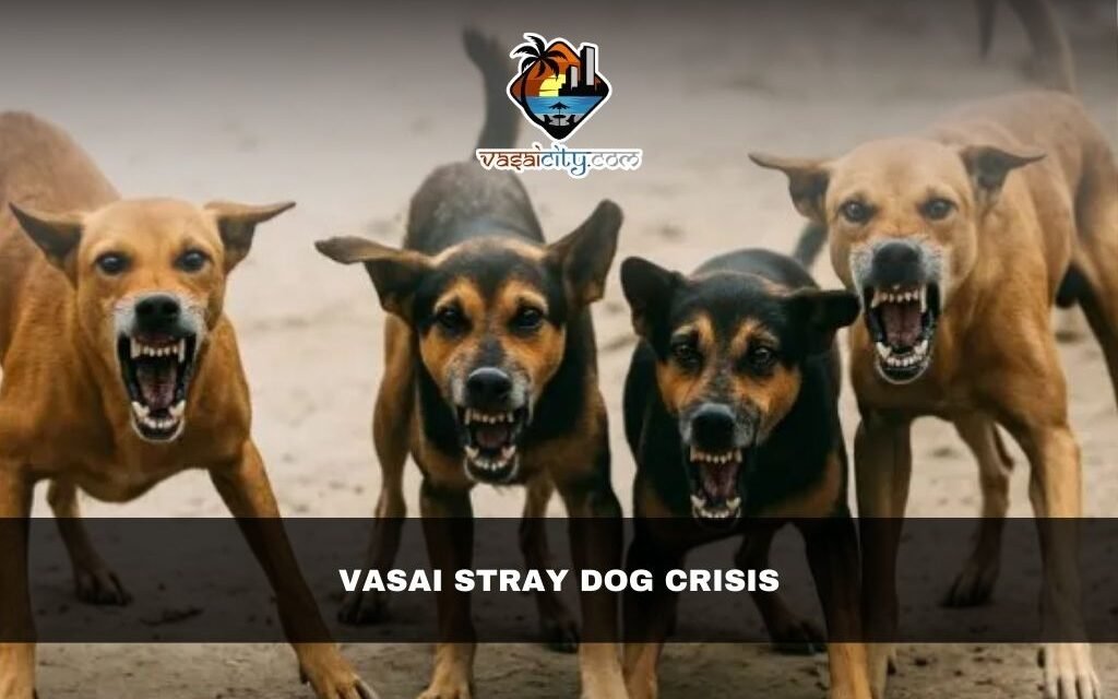 Vasai Stray Dog Crisis