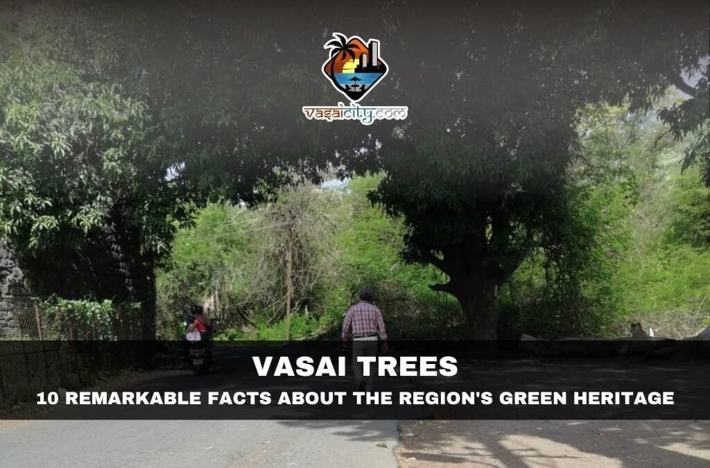 Vasai Trees: The Living Heritage That Continues to Shape the City’s Identity