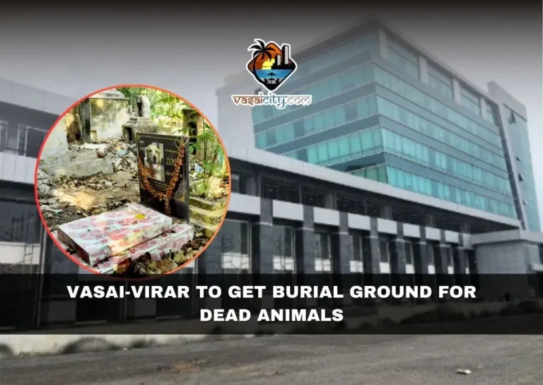 Vasai-Virar To Get Burial Ground For Dead Animals