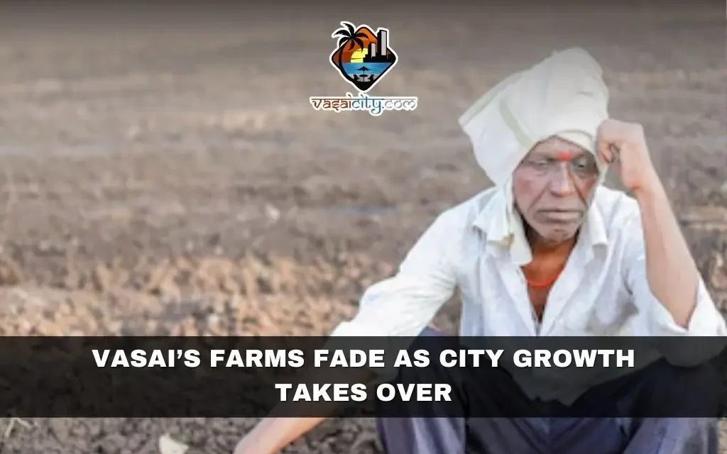 Vasai’s Farms Fade as City Growth Takes Over