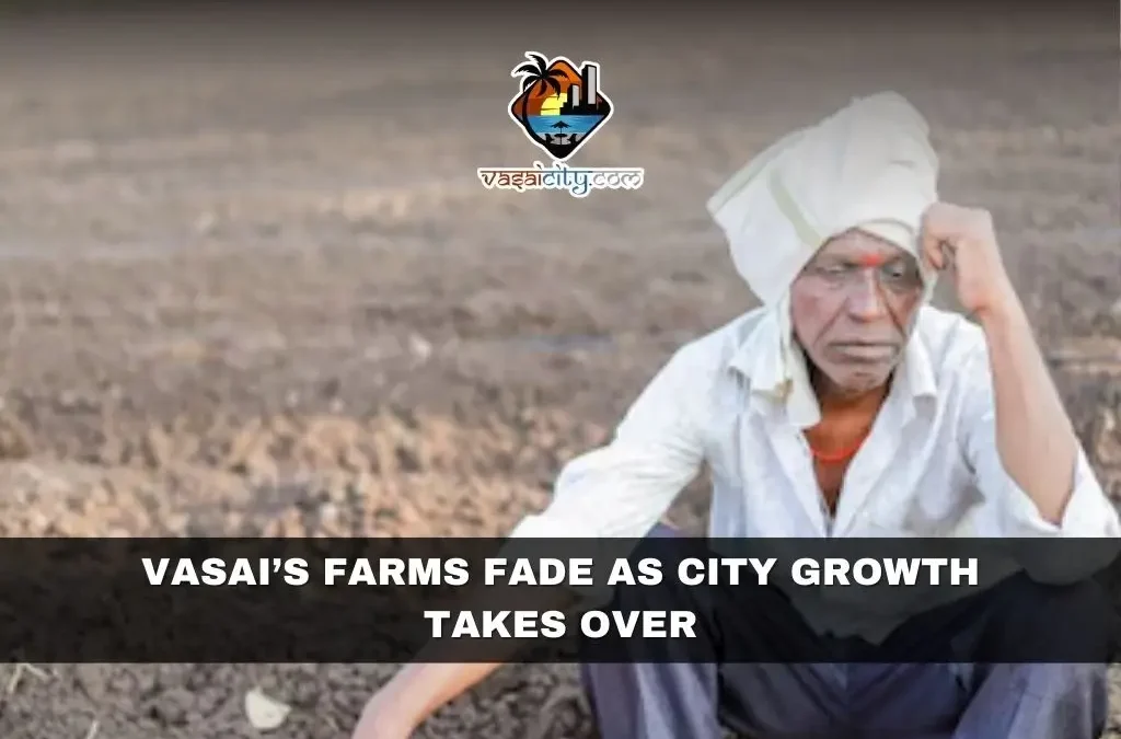 Vasai’s Farms Fade as City Growth Takes Over
