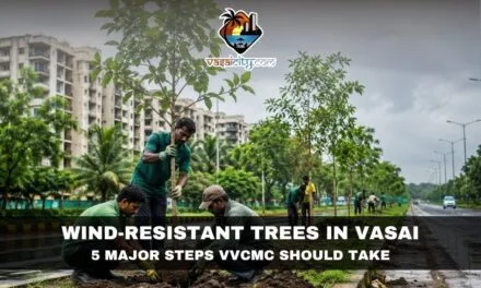 Wind-Resistant Trees in Vasai Can Make the City Safer During Monsoons