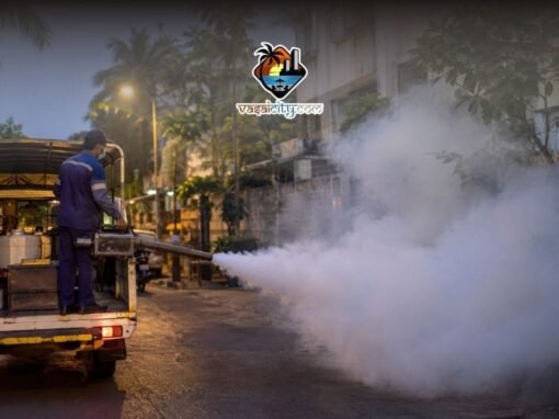 Evening Mosquito Fogging: 5 Big Benefits for Vasai